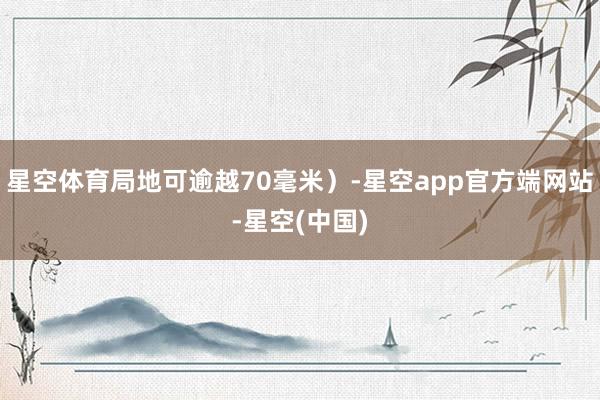 星空体育局地可逾越70毫米）-星空app官方端网站-星空(中国)