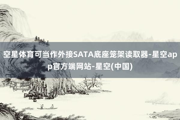 空星体育可当作外接SATA底座笼架读取器-星空app官方端网站-星空(中国)